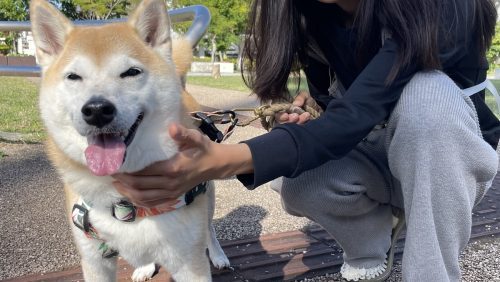 笑う犬