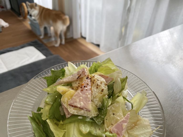 ポテトサラダと柴犬