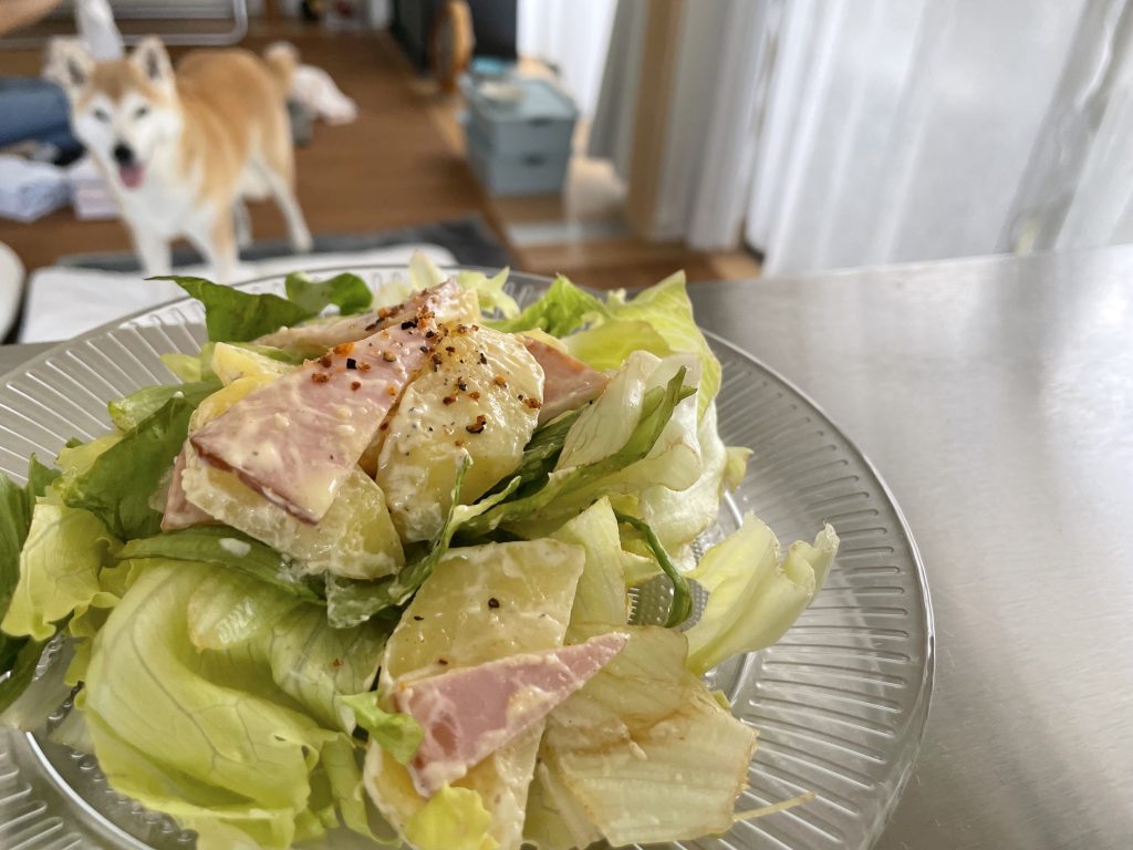 ポテトサラダと柴犬
