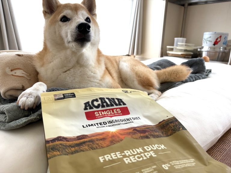 ドッグフードと柴犬