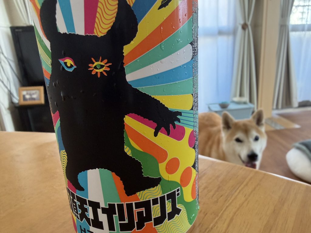 ビールと柴犬