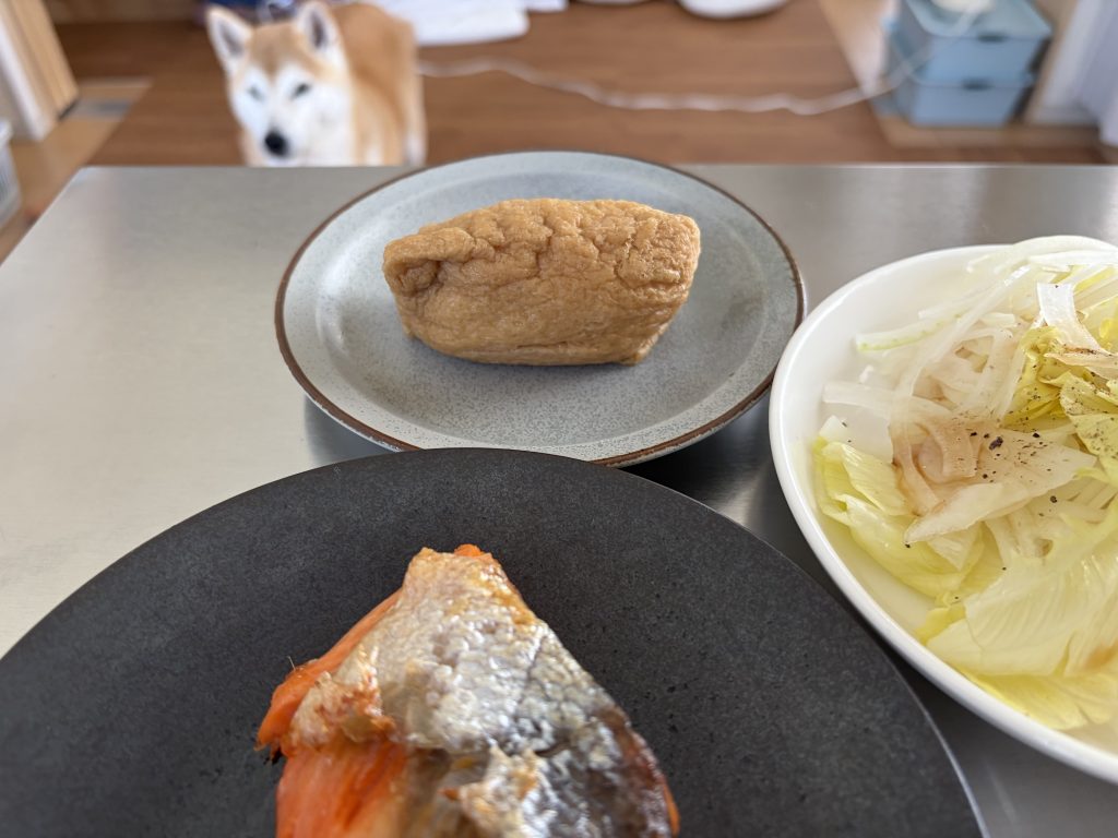 食事と柴犬