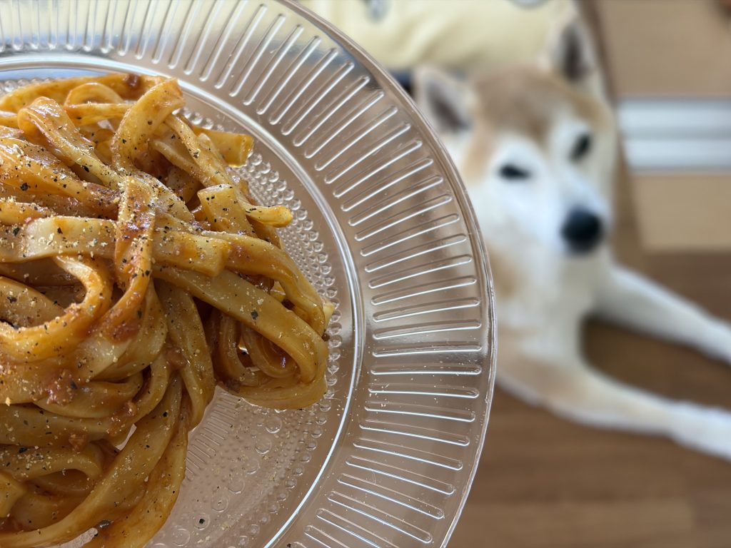 パスタと柴犬