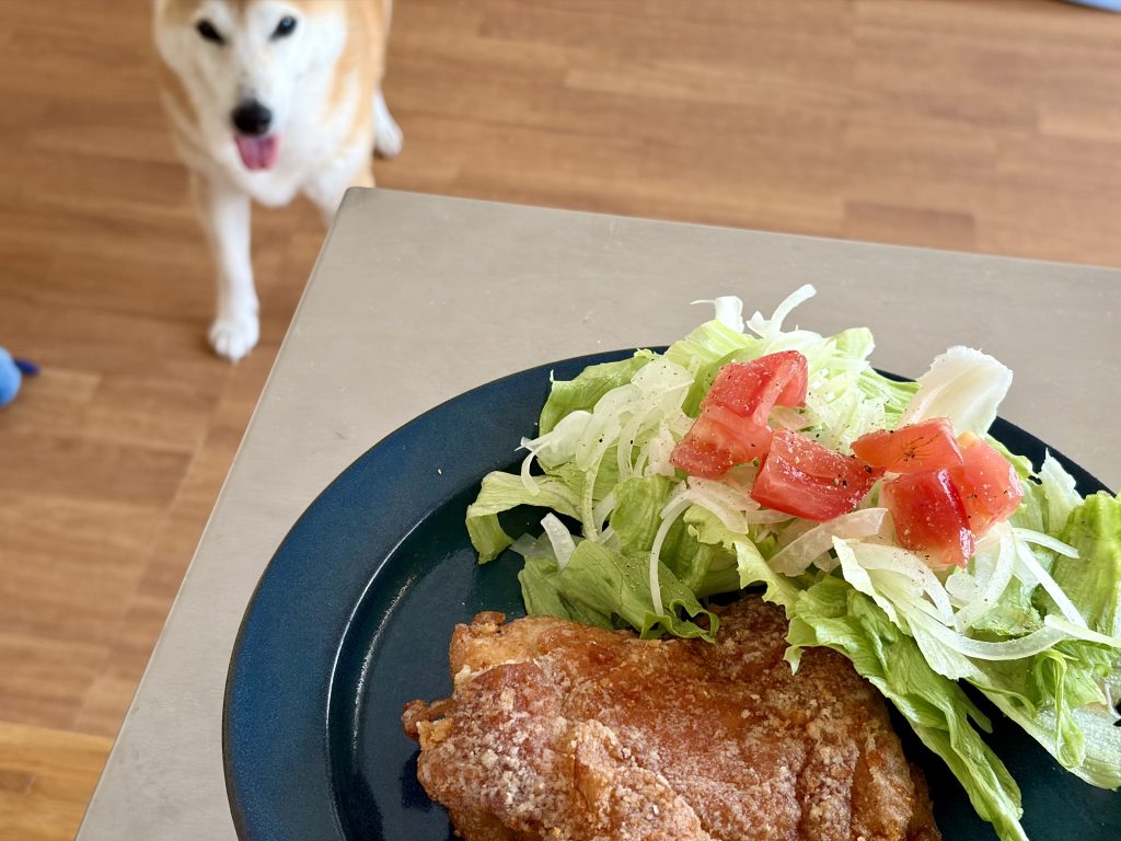 笑う犬と食事